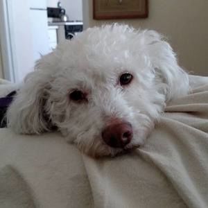 Meet your Posher, Anita